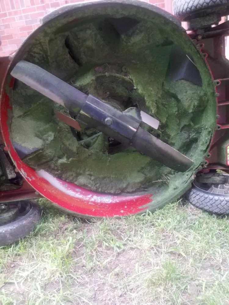 Reliable landscaping services in Greenwood Village, CO by The Moore Fix