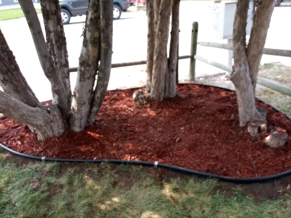 Professional lawn mowing service with custom design across Greenwood Village, CO - The Moore Fix