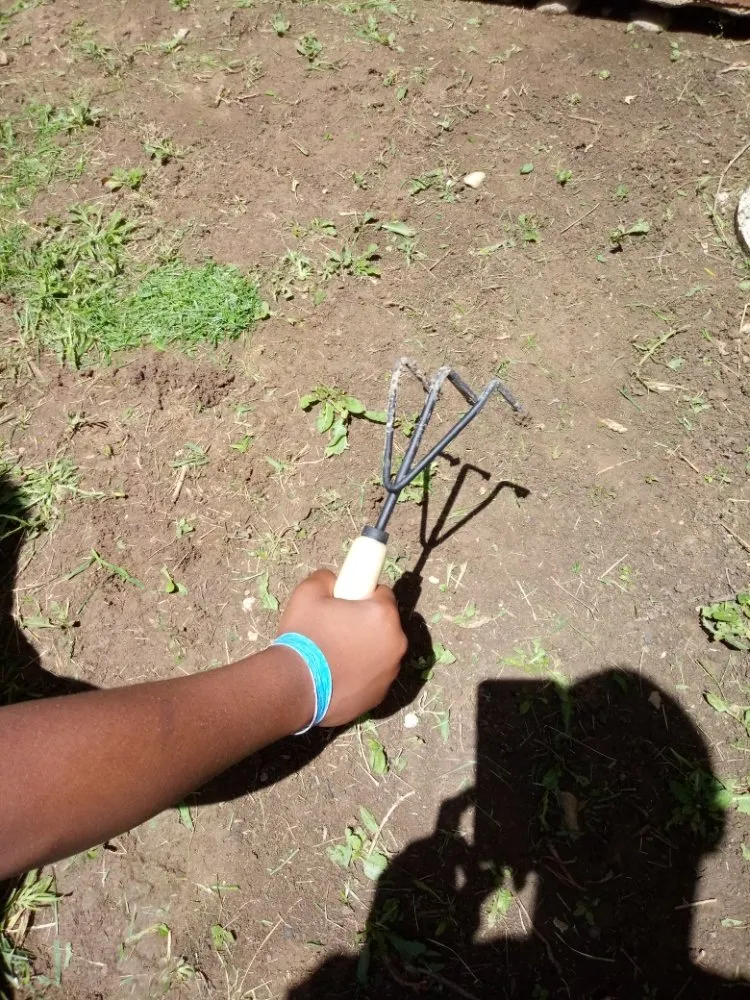 Custom landscaping services in Greenwood Village, CO by The Moore Fix