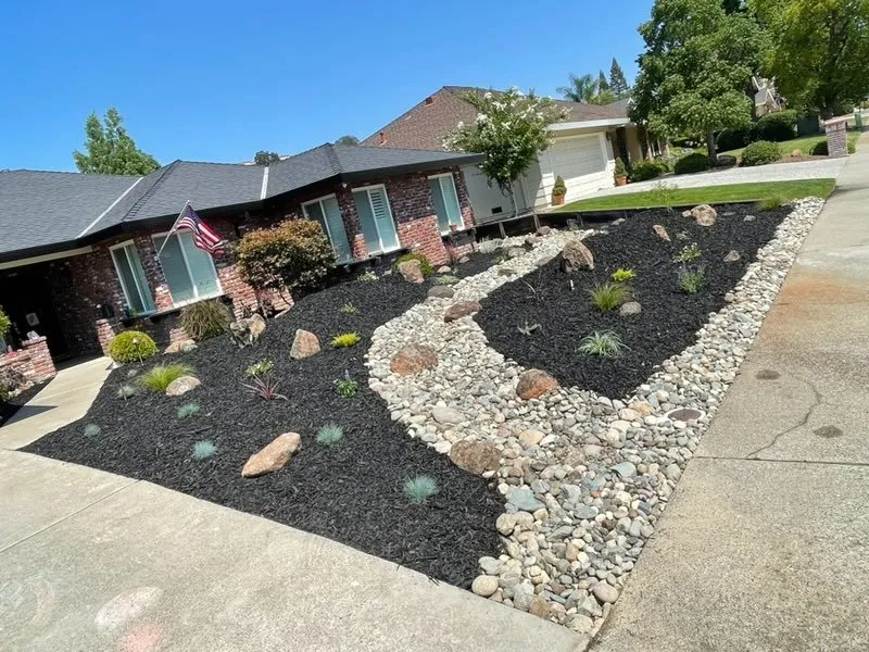 Affordable yard cleanup service experts serving Roseville, CA - The Morales Brothers Landscaping