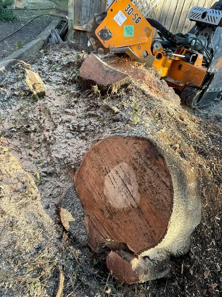 Top-rated residential landscaping in Roseville, CA - The Morales Brothers Landscaping