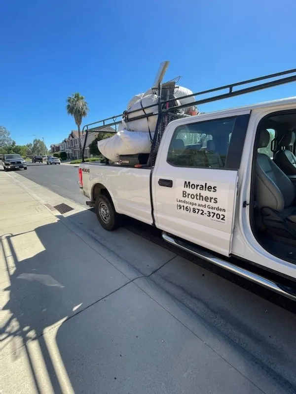 Reliable lawn care service in Roseville, CA by The Morales Brothers Landscaping