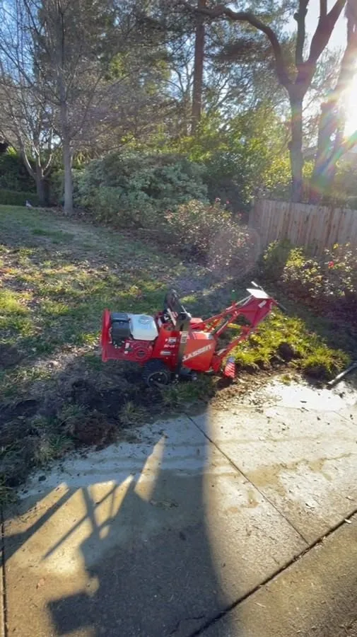 Reliable landscape design near you in Roseville, CA by The Morales Brothers Landscaping