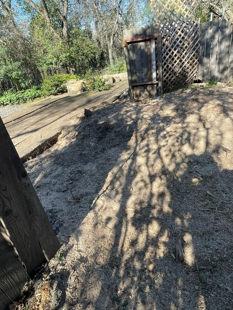 Expert yard cleanup service in Roseville, CA by The Morales Brothers Landscaping