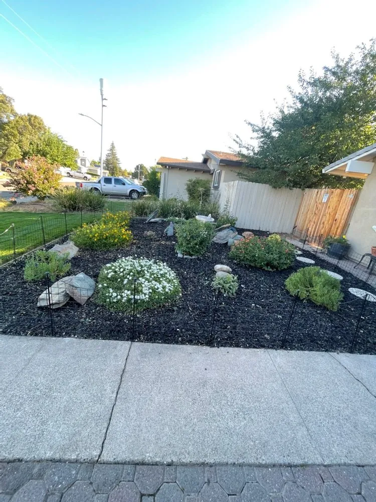 Custom lawn mowing service experts serving Roseville, CA - The Morales Brothers Landscaping