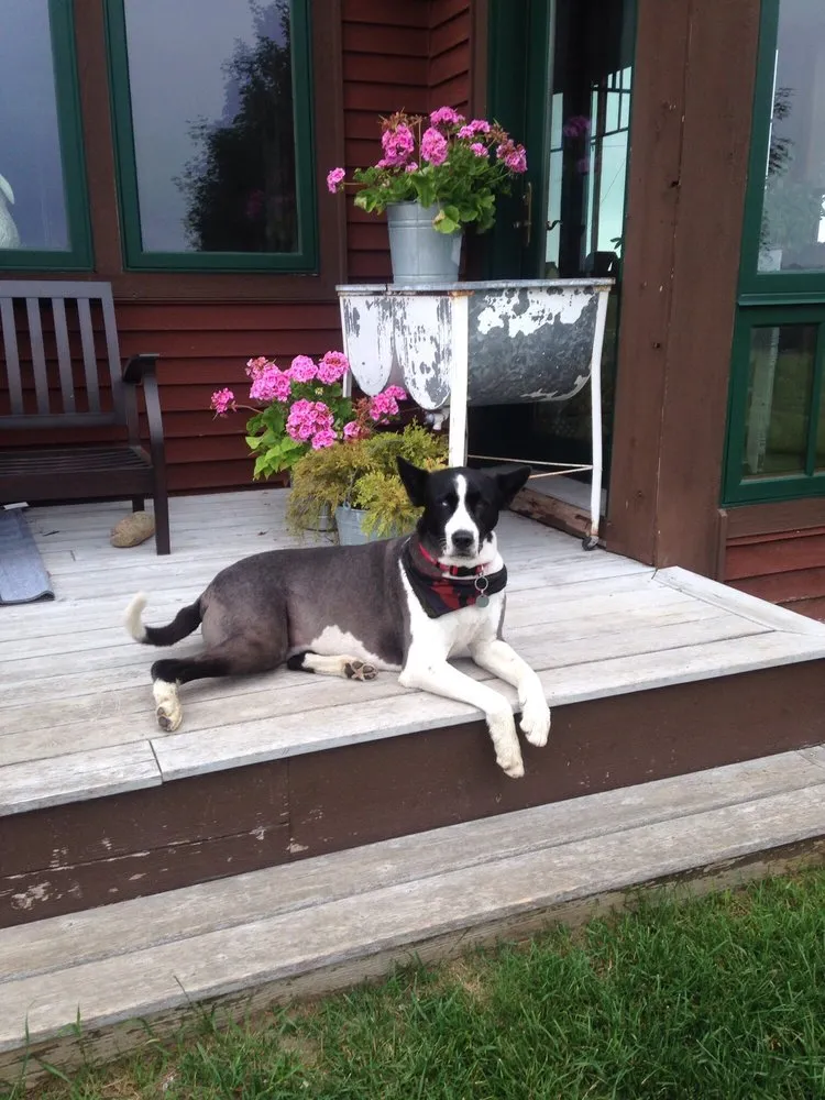 Local garden landscaping with custom design in Traverse City, MI by The Mossy Tree