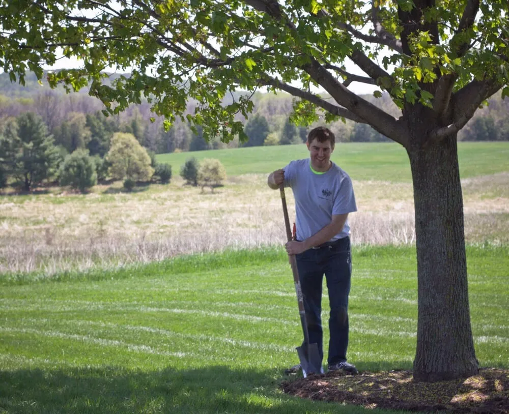Trusted lawn mowing service near you across Traverse City, MI - The Mossy Tree