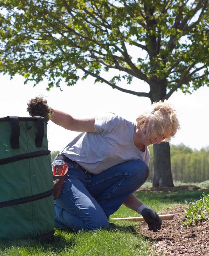 Professional garden landscaping in Traverse City, MI by The Mossy Tree
