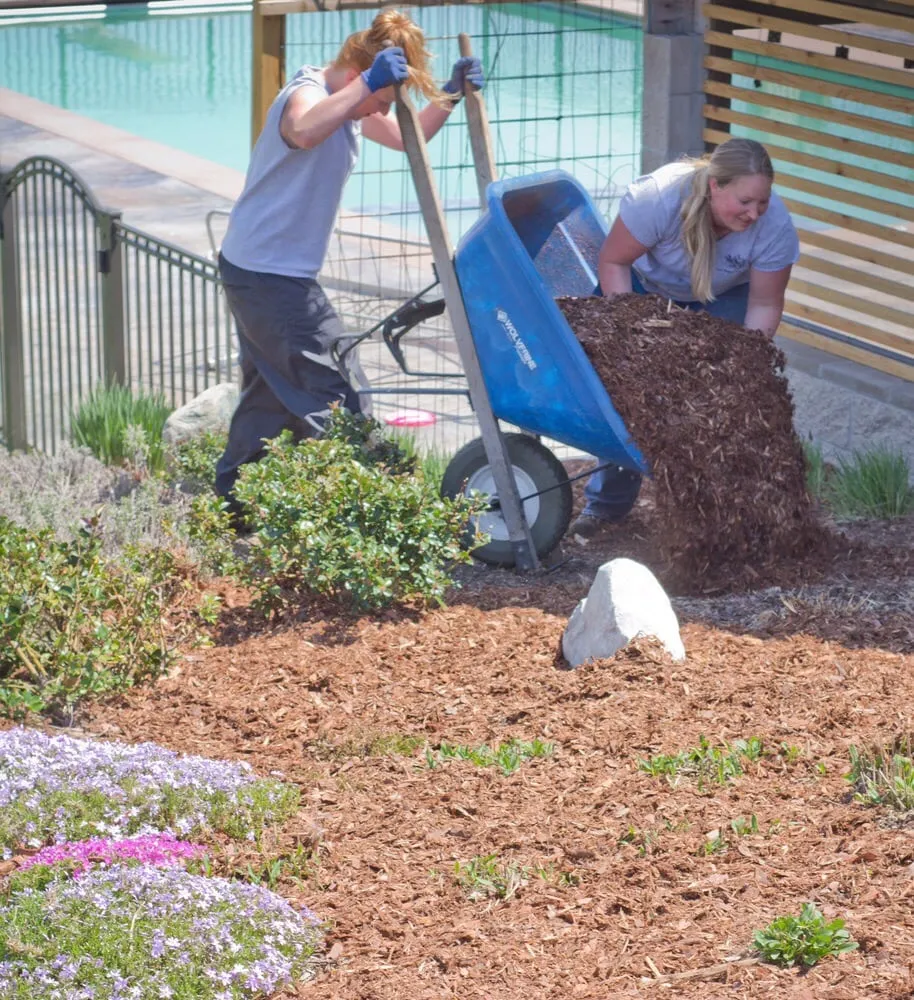 Trusted residential landscaping experts serving Traverse City, MI - The Mossy Tree