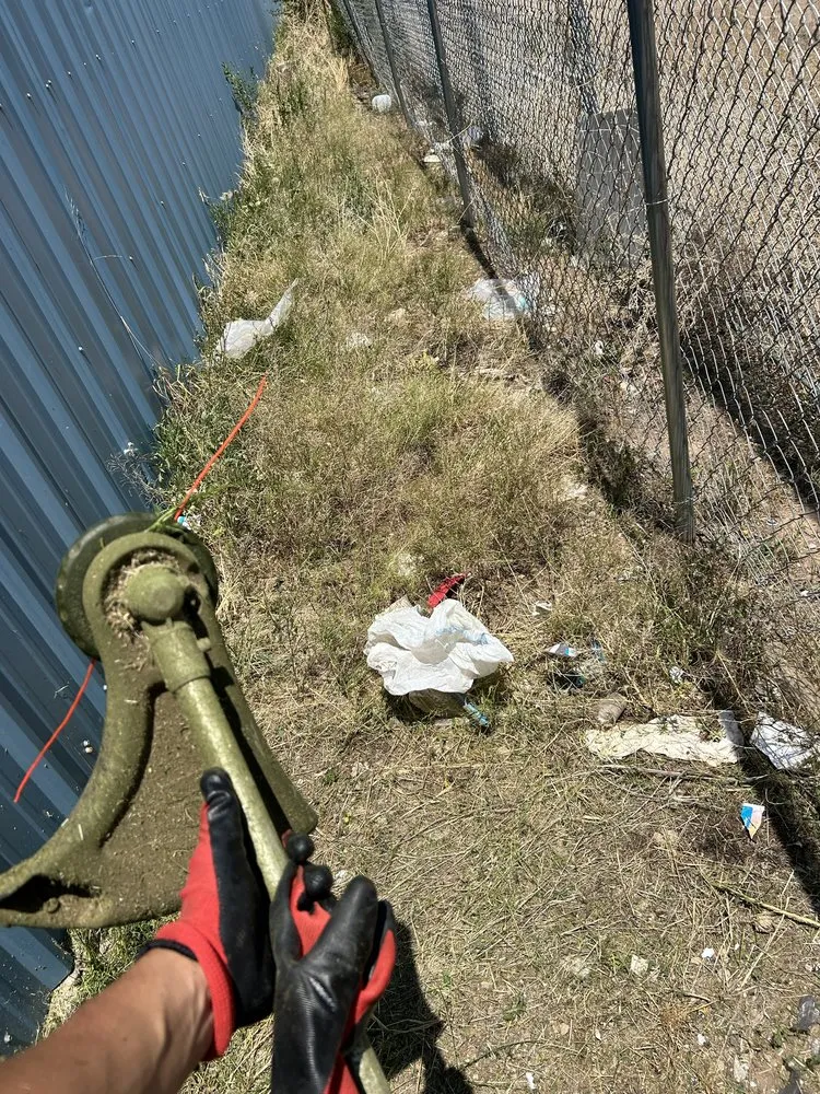 Affordable landscape design in Ruidoso Downs, NM - The Mountain Crew