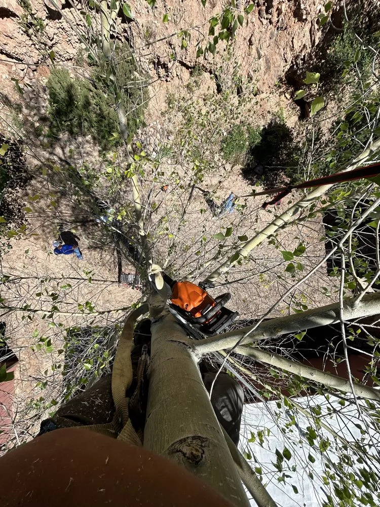 Local landscape design near you in Ruidoso Downs, NM by The Mountain Crew