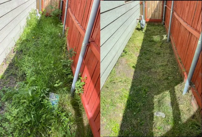 Custom yard cleanup service in Grand Prairie, TX - The Mow Bros