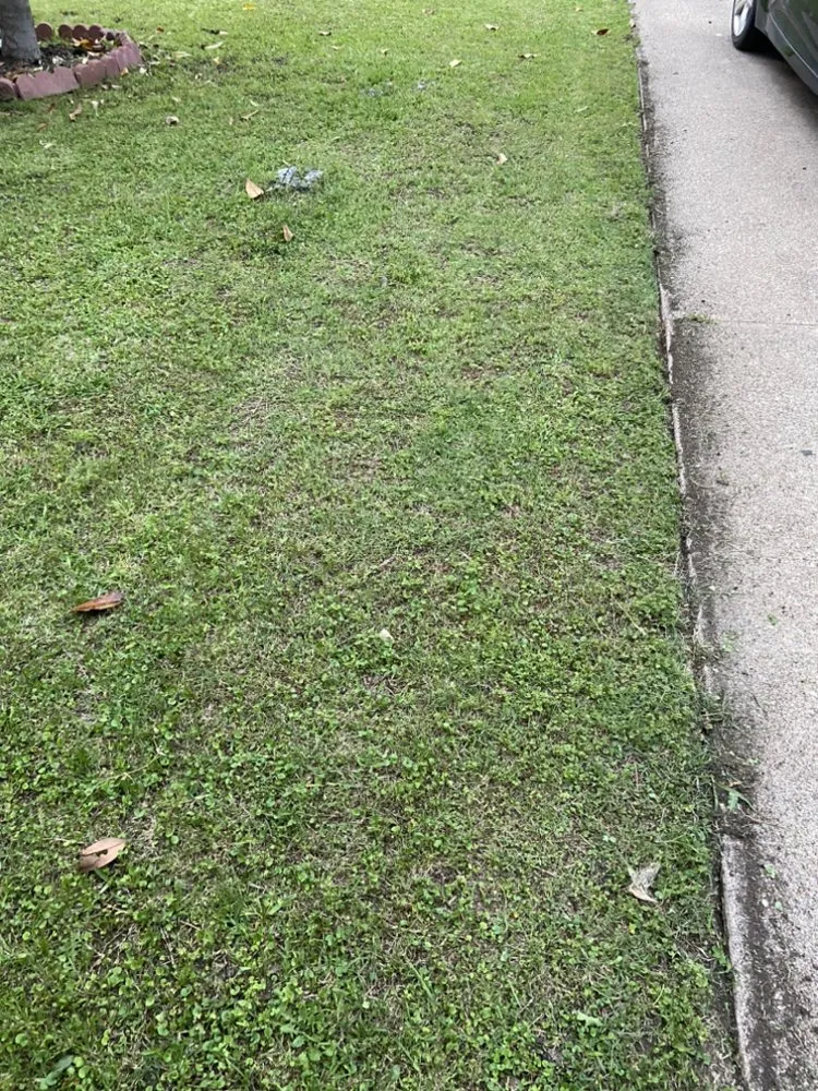 Local residential landscaping near you across Grand Prairie, TX - The Mow Bros