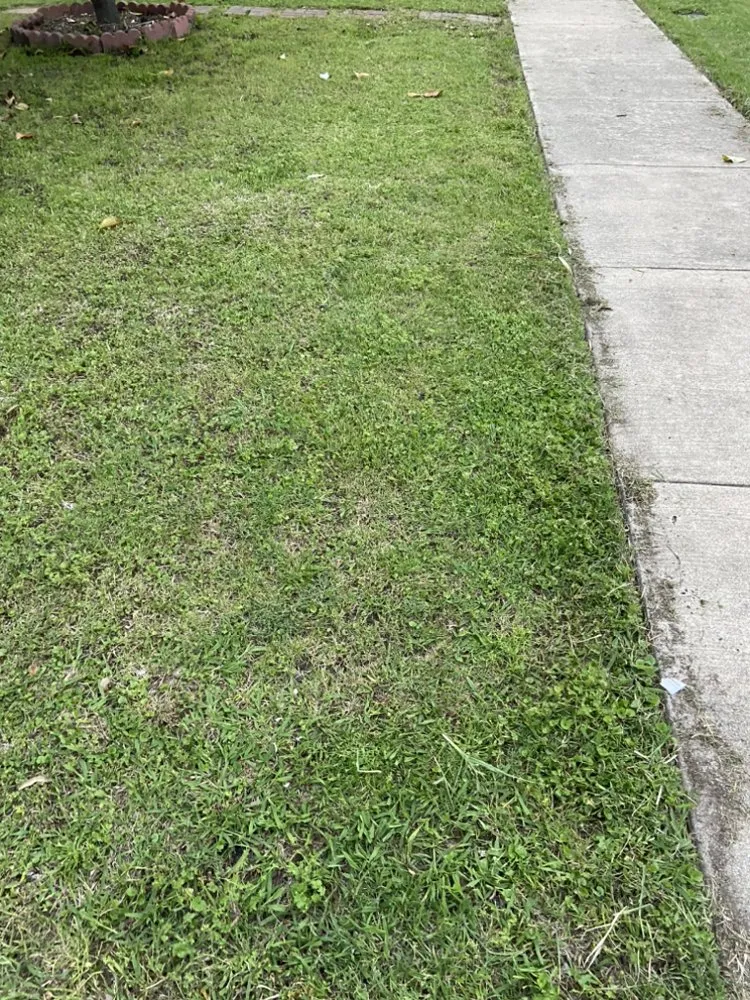 Expert garden landscaping in Grand Prairie, TX by The Mow Bros