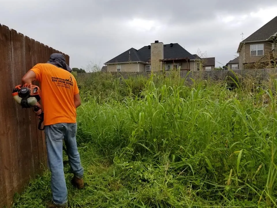 Trusted lawn mowing service for year-round maintenance across Oak Grove, KY - The Mow Down Lawn Care