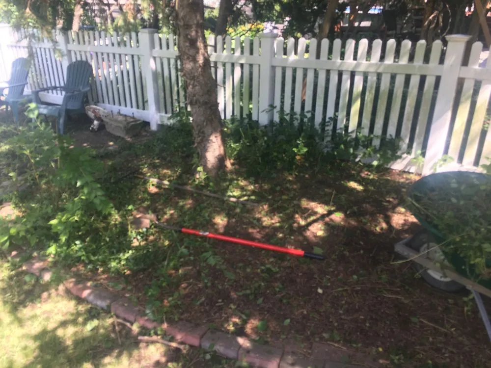 Custom yard maintenance for residential properties in New Lenox, IL by The Mower Guys and More