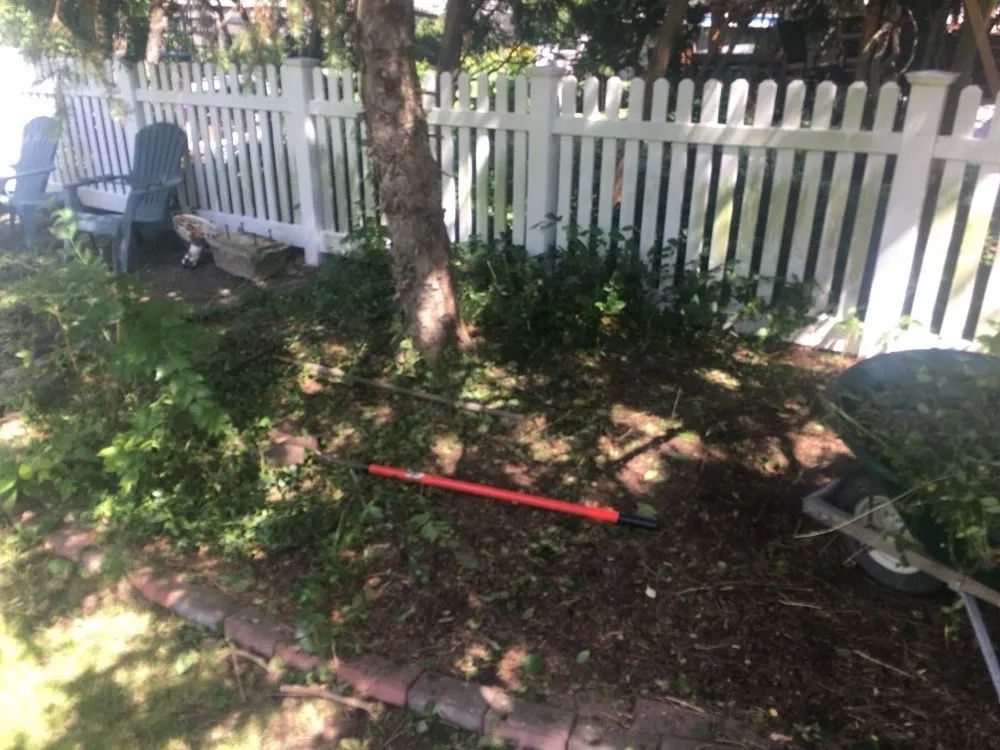 Top-rated yard maintenance for outdoor upgrades in New Lenox, IL by The Mower Guys and More