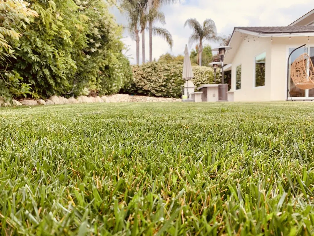 Expert lawn care service in Goleta, CA - The Mower Guys