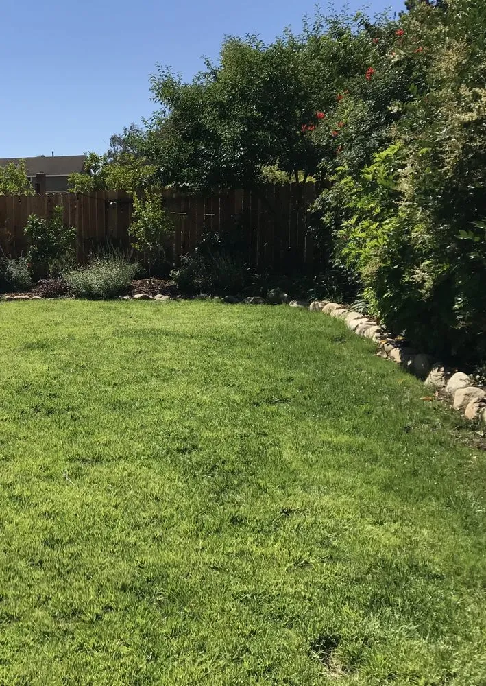 Affordable residential landscaping for homes across Goleta, CA - The Mower Guys