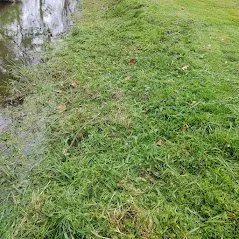 Reliable landscaping services in Forest, IN by The Mowers
