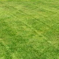 Local landscaping services experts serving Forest, IN - The Mowers