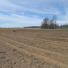 Expert landscape design in Forest, IN by The Mowers