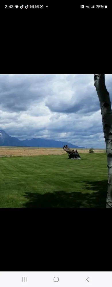Professional yard cleanup service for outdoor upgrades in Teton, ID by The Mowing Guy