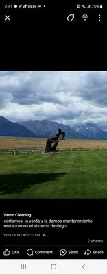 The Mowing Guy