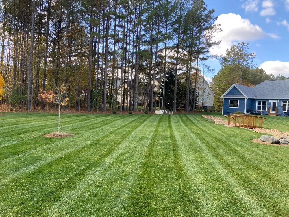 Professional yard cleanup service near you across Citrus Heights, CA - The Mowing Magician