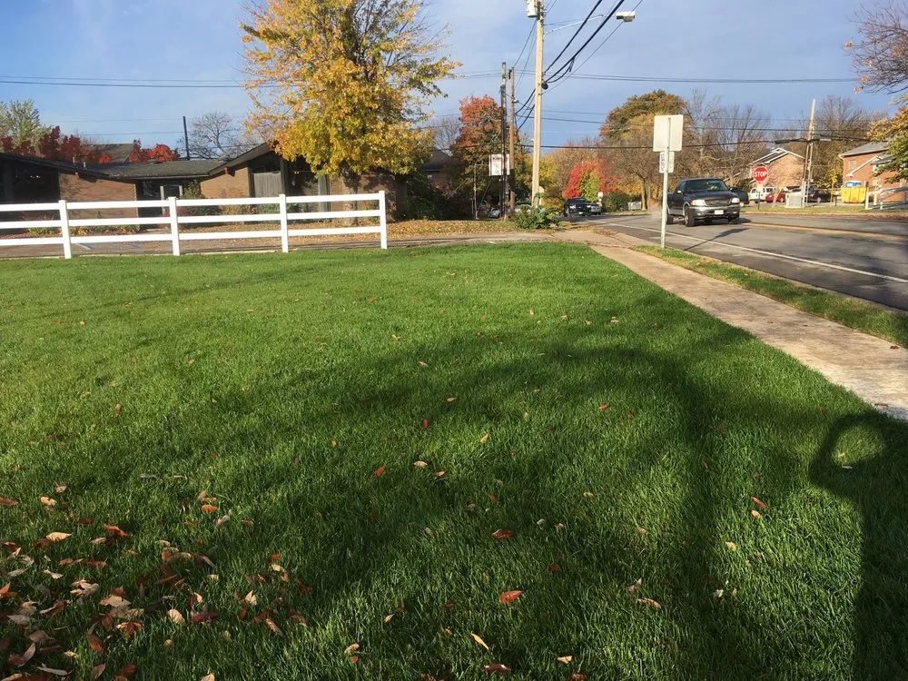 Reliable yard cleanup service in Columbia, MO by The Mowing Magician
