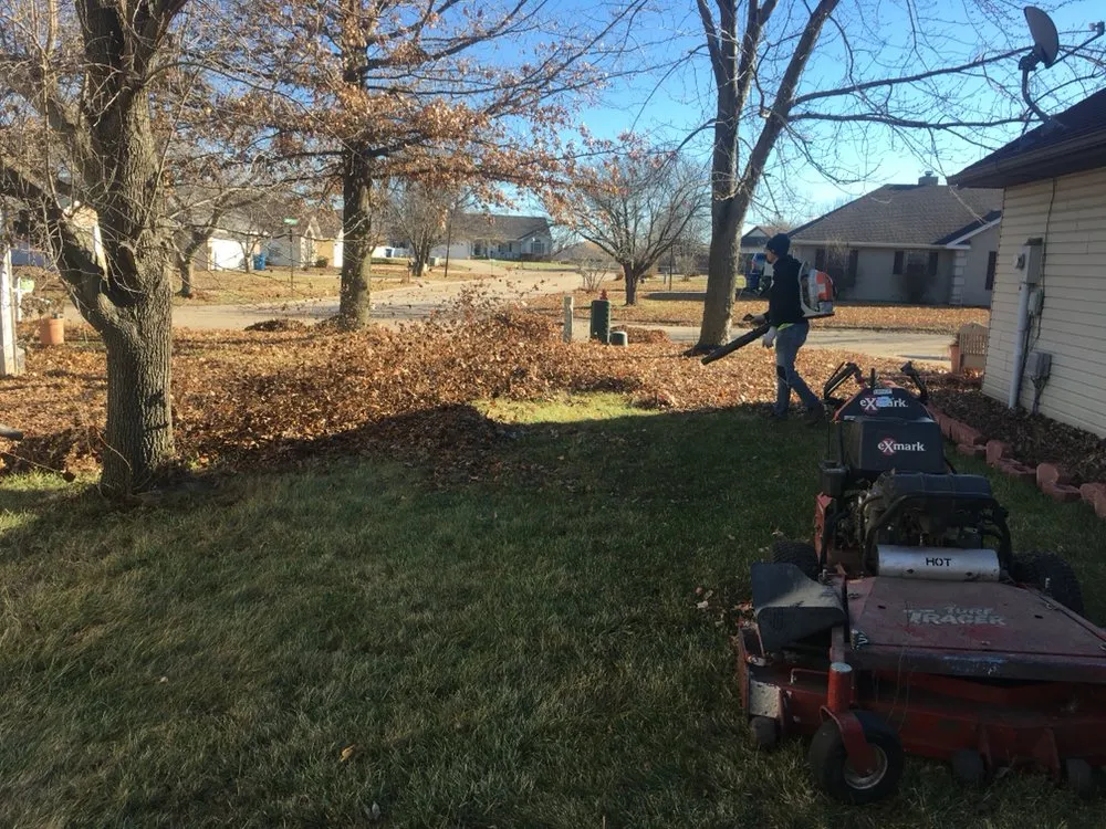 Reliable yard cleanup service experts serving Columbia, MO - The Mowing Magician