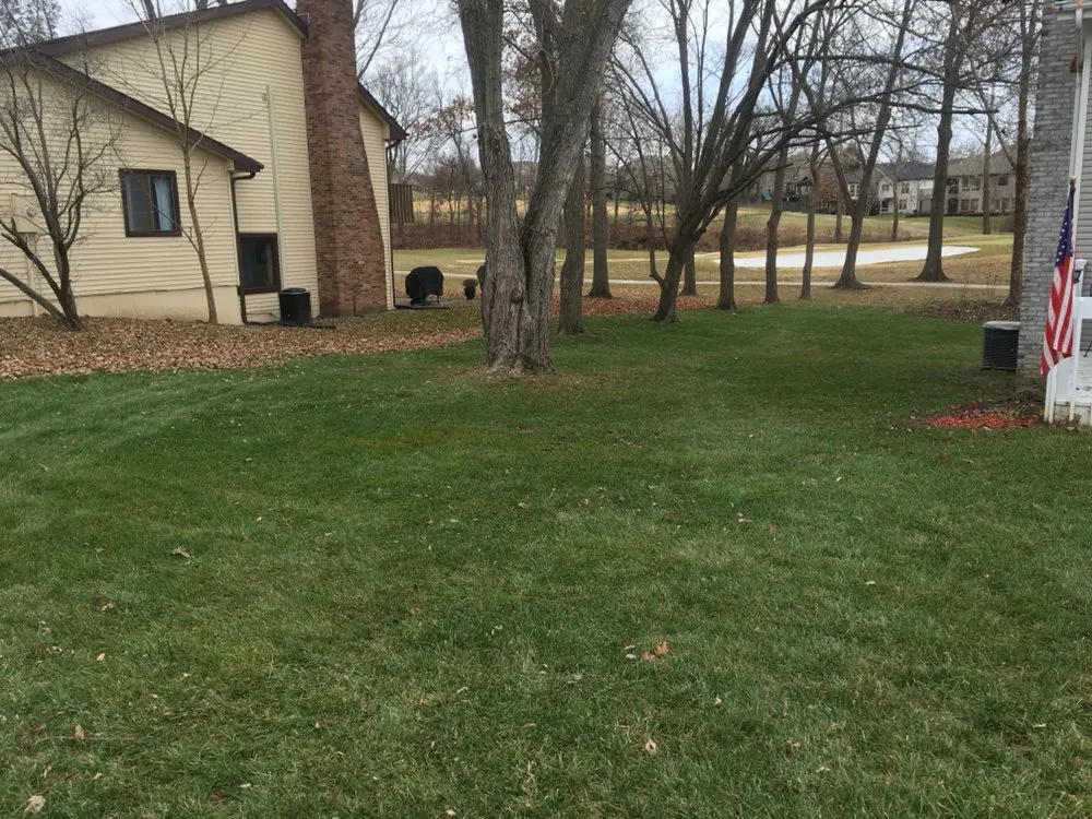 Reliable yard cleanup service in Columbia, MO by The Mowing Magician