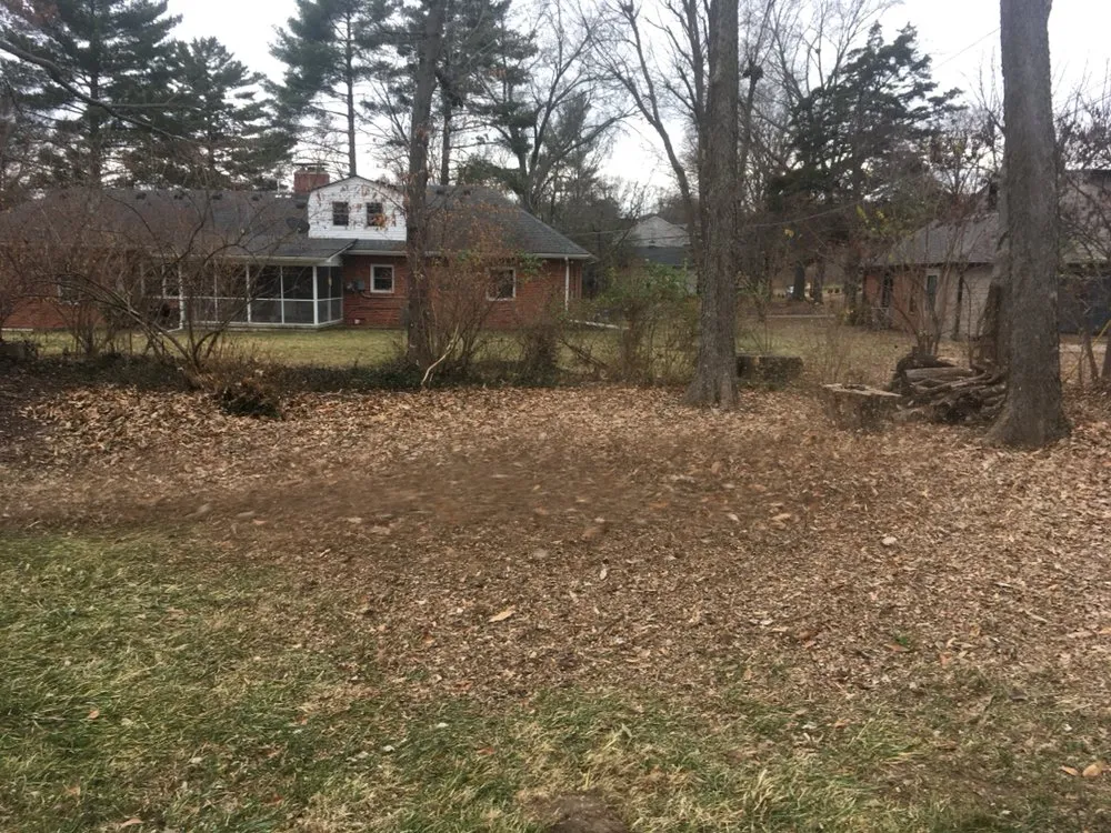 Affordable lawn care service for outdoor upgrades across Columbia, MO - The Mowing Magician