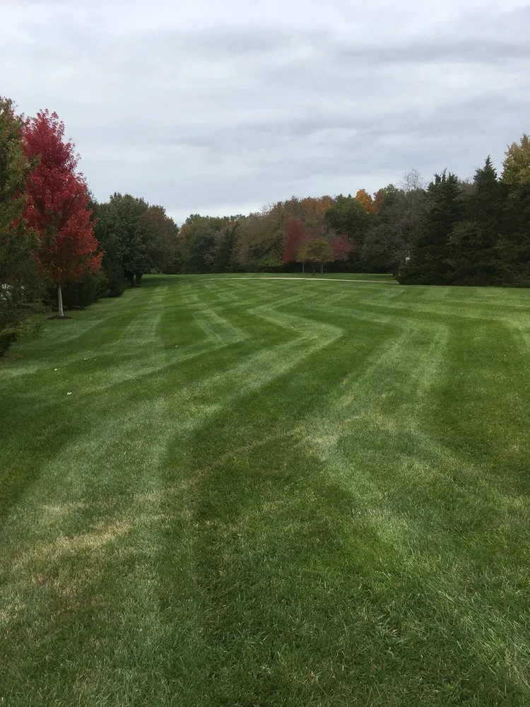 Affordable landscaping services near you in Columbia, MO by The Mowing Magician