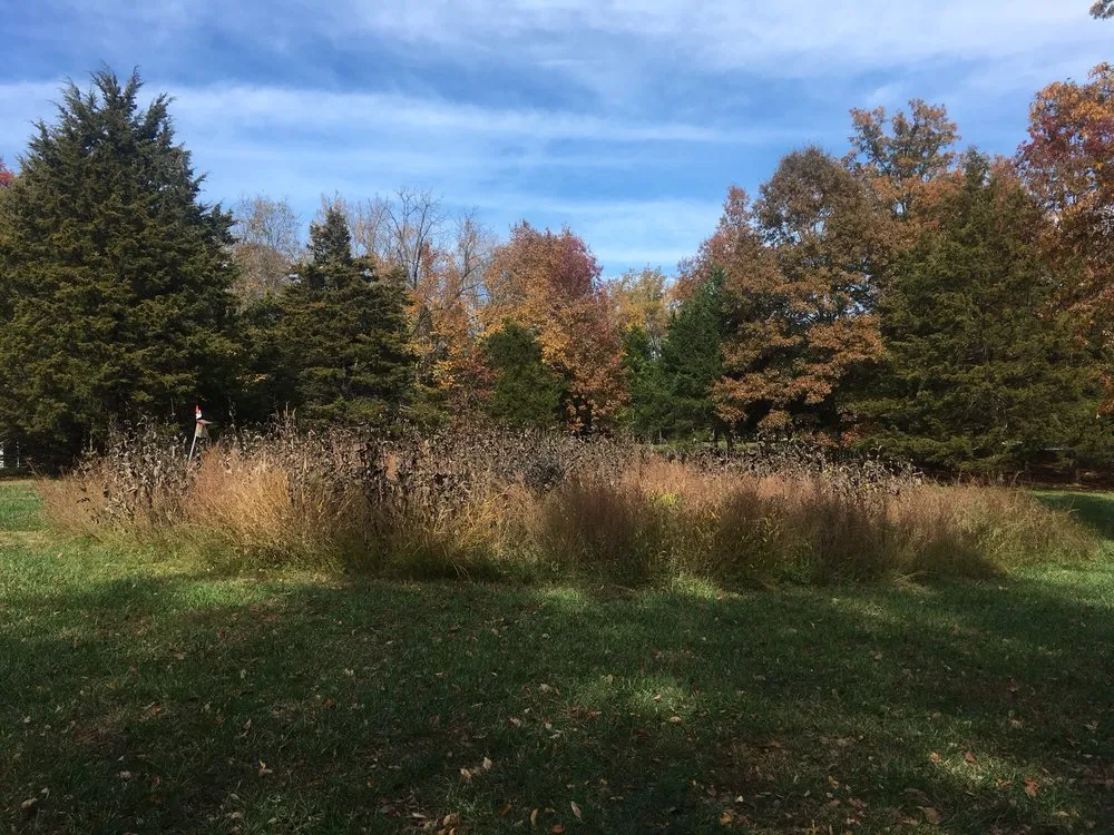 Professional landscaping services with custom design across Columbia, MO - The Mowing Magician