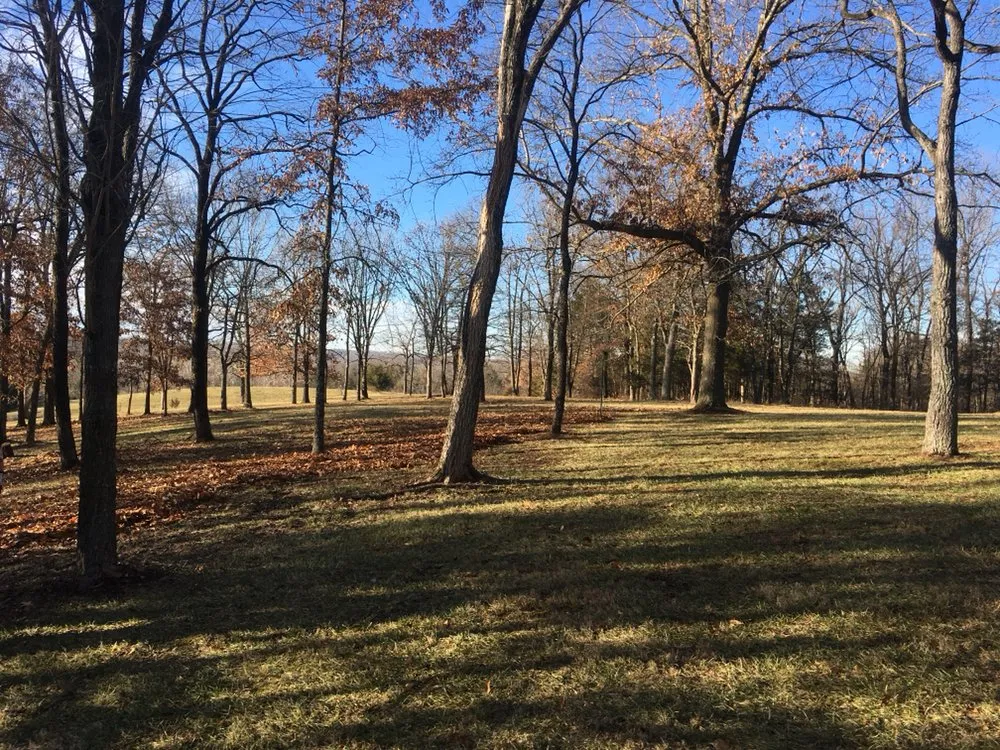 Affordable yard maintenance for beautiful yards in Columbia, MO by The Mowing Magician