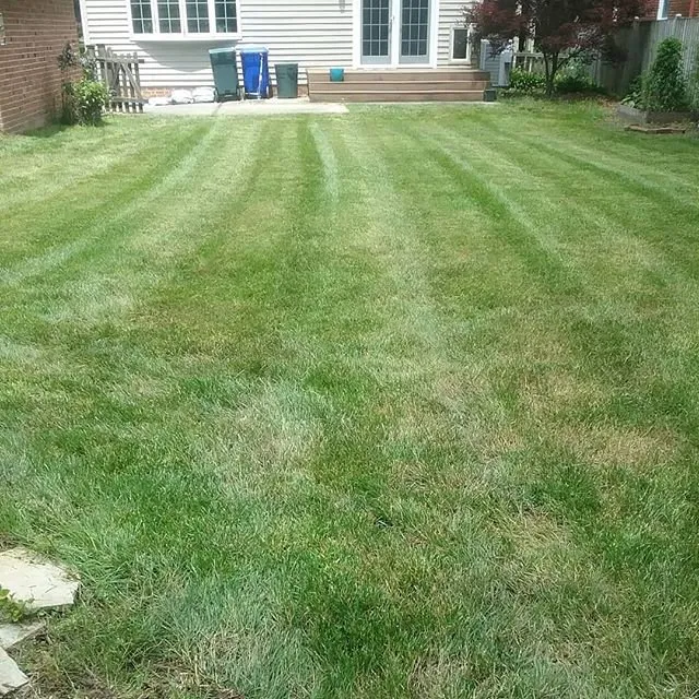Affordable yard cleanup service for residential properties in Bowie, MD by The Mowing Pros