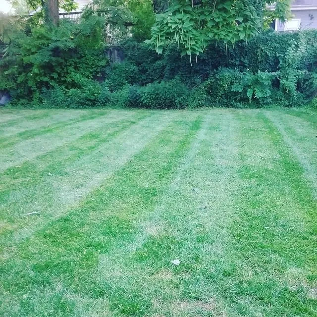 Trusted residential landscaping in Bowie, MD - The Mowing Pros