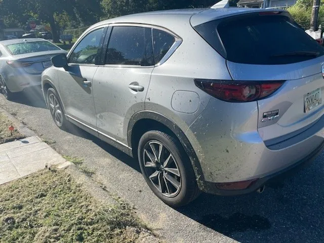 Expert yard maintenance experts serving Bowie, MD - The Mowing Pros