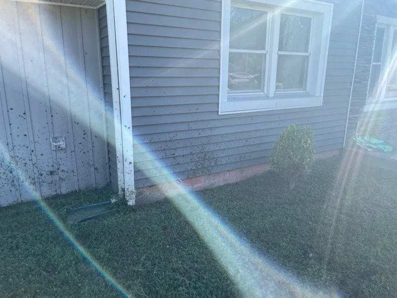 Reliable lawn mowing service in Bowie, MD by The Mowing Pros