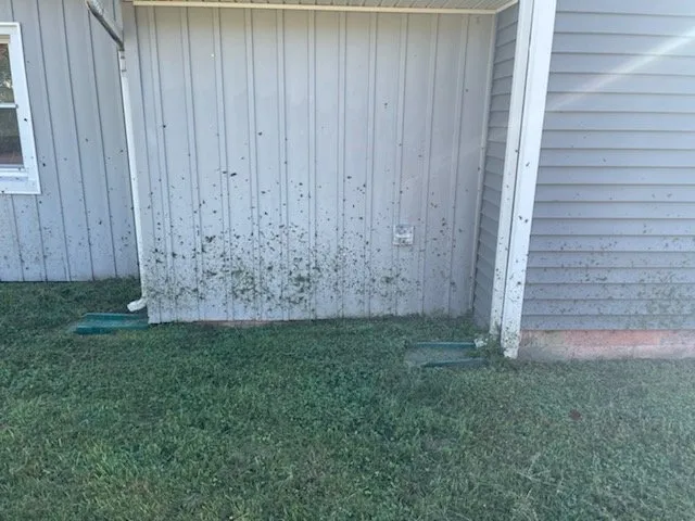 Trusted yard cleanup service in Bowie, MD by The Mowing Pros