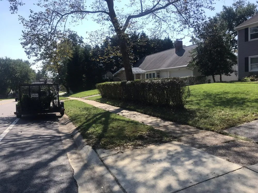 Affordable yard cleanup service for homes across Bowie, MD - The Mowing Pros