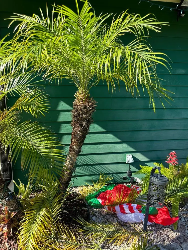 Affordable landscaping services in Orange Park, FL - The Mowing Squad