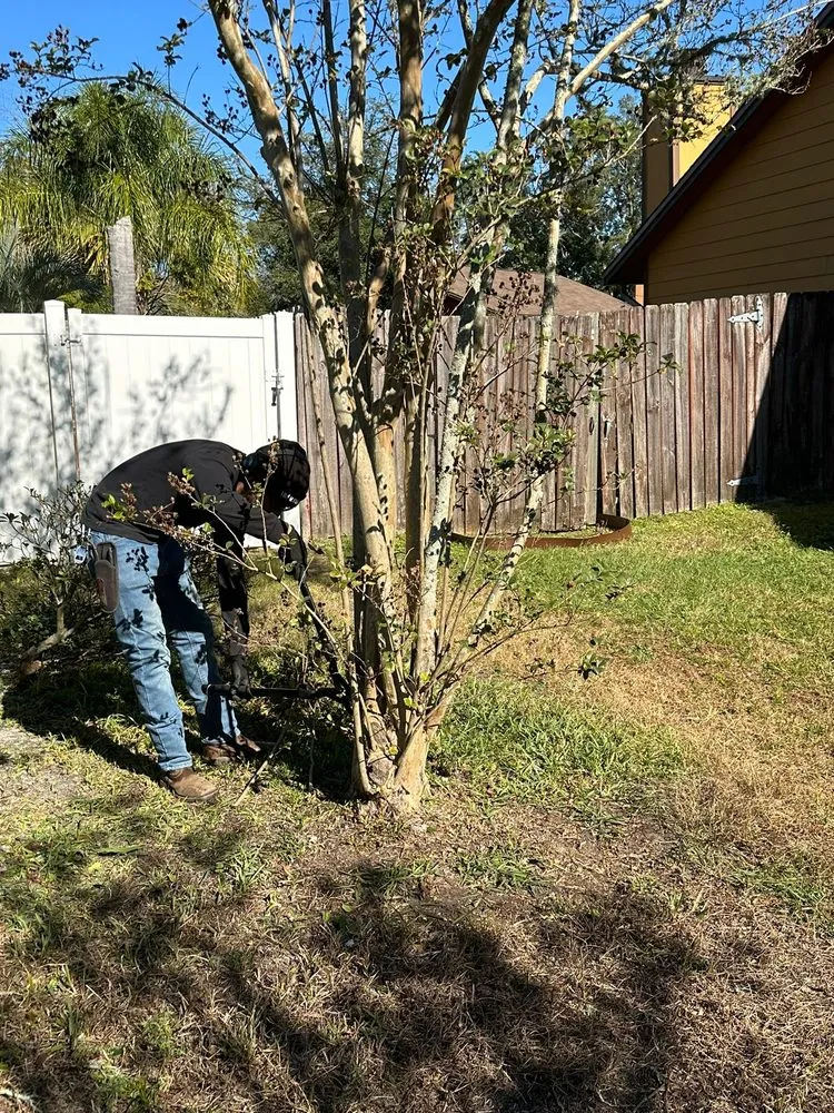 Top-rated landscaping services in Orange Park, FL - The Mowing Squad