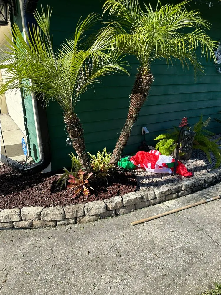 Professional yard cleanup service in Orange Park, FL - The Mowing Squad