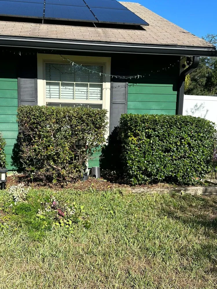 Reliable yard cleanup service in Orange Park, FL - The Mowing Squad
