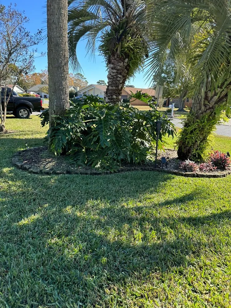 Professional landscape installation in Orange Park, FL by The Mowing Squad