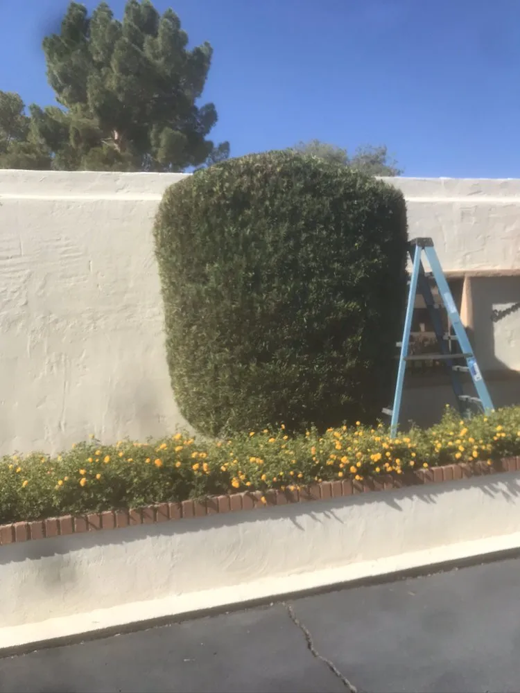 Expert garden landscaping with custom design across Phoenix, AZ - The Mud And Above Landscaping