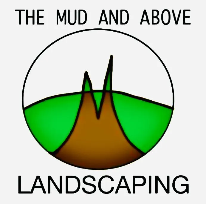 Affordable residential landscaping for outdoor upgrades in Phoenix, AZ by The Mud And Above Landscaping
