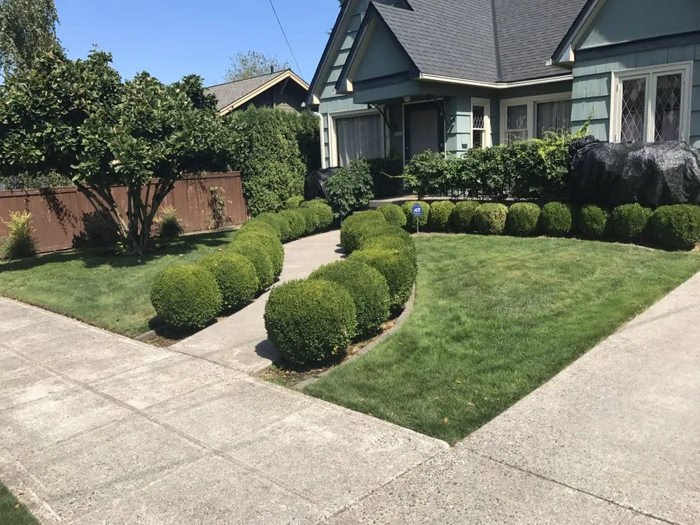 Affordable landscape installation experts serving Phoenix, AZ - The Mud And Above Landscaping